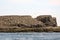 Grey seals, Farne Islands Nature Reserve, England