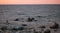Grey seals, Halichoerus grypus sunbathing on rocks in the sunset
