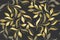 Grey seamless background with Golden leaves