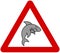 A grey shark with warning sign