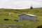 A grey shed standing on a green hill in New Zealand