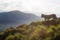 Grey Siberian husky dog at the orange sunset in the mountains