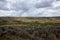 Grey sky over a Green River System landscape