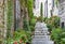 Grey staircase in old stone village house with garden plants