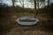 Grey Stone Bench In the Forest Woods Trees Leafes View