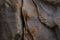 Grey Stone Texture background of Adrspach Sandstone rock.