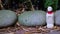 Grey stones and traditional stone carved Jizo close up