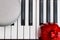 grey stylish speaker and red pomegranate on the black and white piano keys on top view