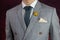 Grey suit plaid texture, necktie, brooch, handkerchief