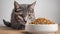 Grey tabby cat eyeing a bowl of dry food. hungry pet anticipating mealtime. AI