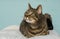 Grey tabby cat sitting on a cushion in a blue setting