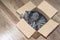 Grey tabby cat sleeps in a small box, the concept of a home for the animals