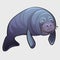 Grey thick marine seal, cute animal vector