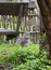 Grey Tiger Cat In Country Garden