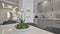 Grey and white luxury kitchen in modern style