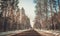 Grey winter lonely snowy forest road