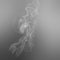 Grey wipe smoke cloud. Abstract mystic freeze motion diffusion background