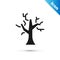 Grey Withered tree icon isolated on white background. Bare tree. Dead tree silhouette. Vector