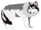 grey wolf animal vector illustration transparent background