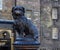 Greyfriars Bobby commemorative statue-Edinburgh, Scotland