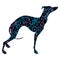 Greyhound dog breed vector illustration. Elegant silhouette of a Greyhound dog with an ornament.