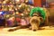 Greyhound Dog Decorated for Christmas