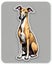 greyhound dog sticker decal athletic canine pet