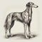 Greyhound, engaving style, close-up portrait, black and white drawing,