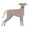 Greyhound icon cartoon vector. Animal run