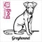 Greyhound puppy sitting. Drawing by hand, sketch. Engraving style, black and white vector image.