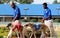 Greyhound Racing Dogs Being Led Down the Track at Southland Racing And Gaming Park, West Memphis Arkansas