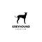 Greyhound silhouette, animal design vector icon illustration