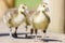 Greylag geese goslings anser anser in summer sunshine