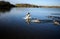 Greylag Goose Landing On Lake