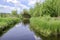 Greylake nature reserve at Bridgwater Somerset England