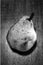 Greyscale closeup of a pear on a wooden table under the lights