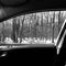 Greyscale shot of a forest of bare trees covered in snow through a car window