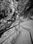 Greyscale vertical shot of a narrow pathway going through the rocky cliffs