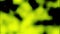 Grid of black tiny rhombuses and flowing shapes on fluorescent yellow background. Design. Diagonal movement of dark