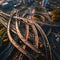 A grid of criss-crossing highways, overpasses and ramps.