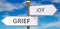 Grief and joy as different choices in life - pictured as words Grief, joy on road signs pointing at opposite ways to show that