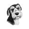 Griffon Nivernais dog digital art illustration isolated on white background. France origin medium-sized scenthound hunting dog.