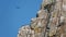 Griffon vulture flying above Salto del Gitano in National Park Monfrague, Spain