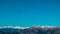 Griffons in the sky over the peak of italian alps