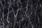 Grigio Carnico Marble background, stylish texture for personal design look.