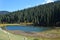 Grigorievskoe gorge landscape. Kyrgyzstan