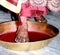 A Griha Pravesh Ritual in indian wedding