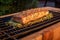 grill with cedar plank mahi mahi and smoke