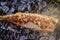 Grill fish fire mackerel food,  meal closeup