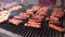 Grill Frying Skewers, Kebab, Hamburger and Pork Meat, Barbecue for Picnic